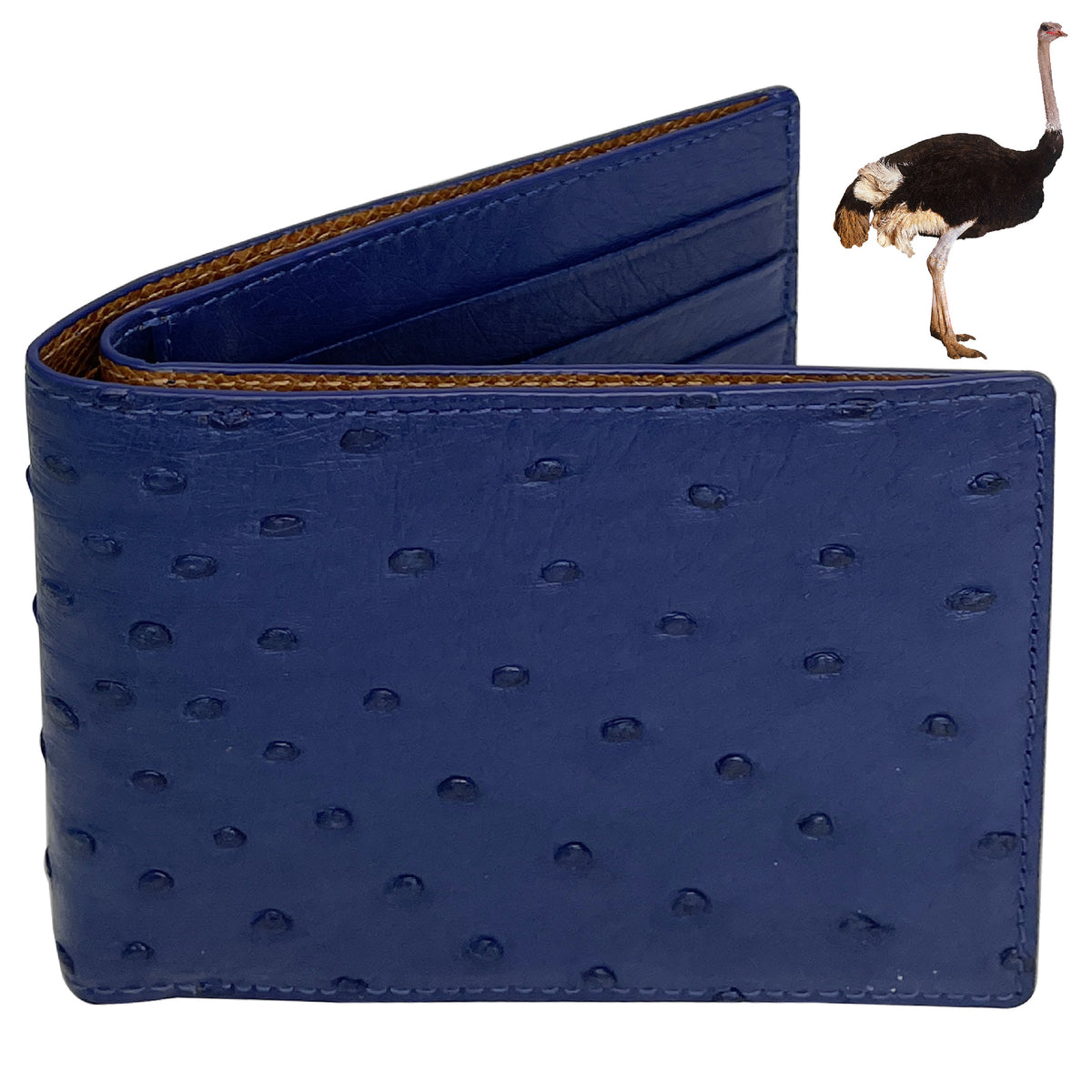 Blue Ostrich Leather Bifold RFID Blocking Leather Wallet Vinacreations