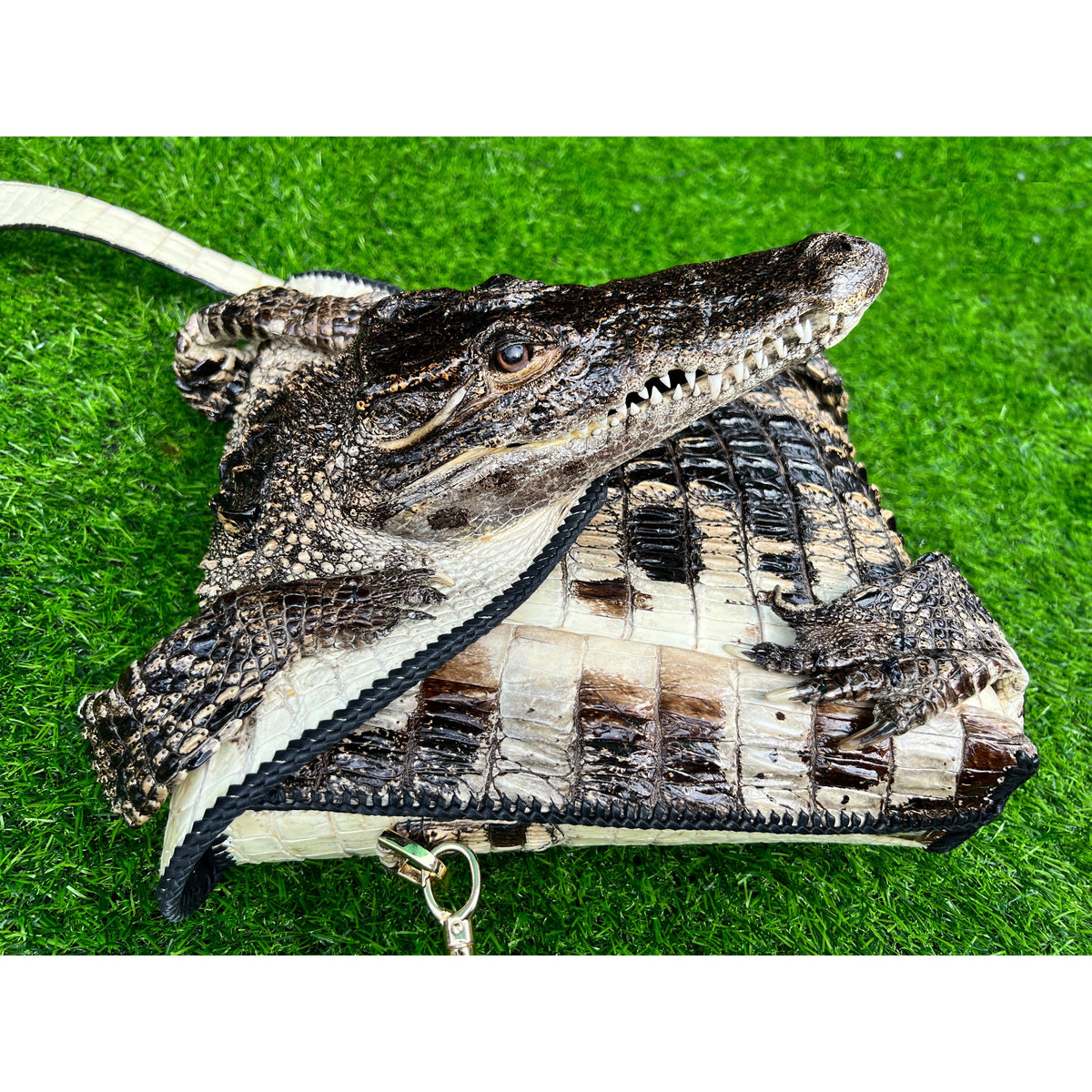 Black Alligator Leather Backpack Rucksack Women, Small Unique Bag Chri –  Vinacreations