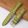 20mm Green Unique Pattern Alligator Leather Watch Band For Men DH-200C