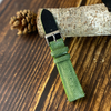 Green Stingray Leather Watch Band