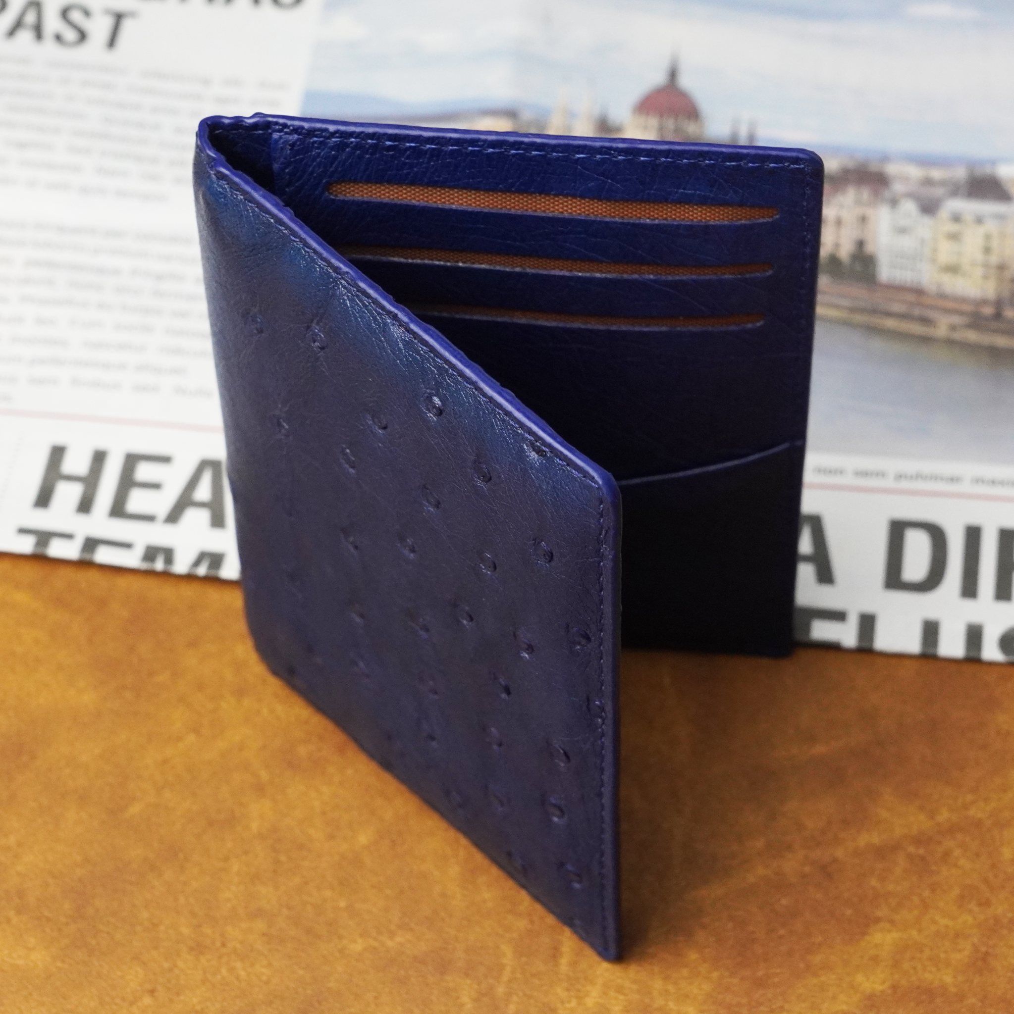 Blue Double Side Ostrich Leather Credit Card Holder | RFID Blocking | CARDOS-04