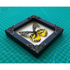 2 Real Butterfly Entomology Wooden Frame | Handmade Shadow Box Insect Oddity Taxidermy Taxadermy Wall Art Decoration - Vinacreations
