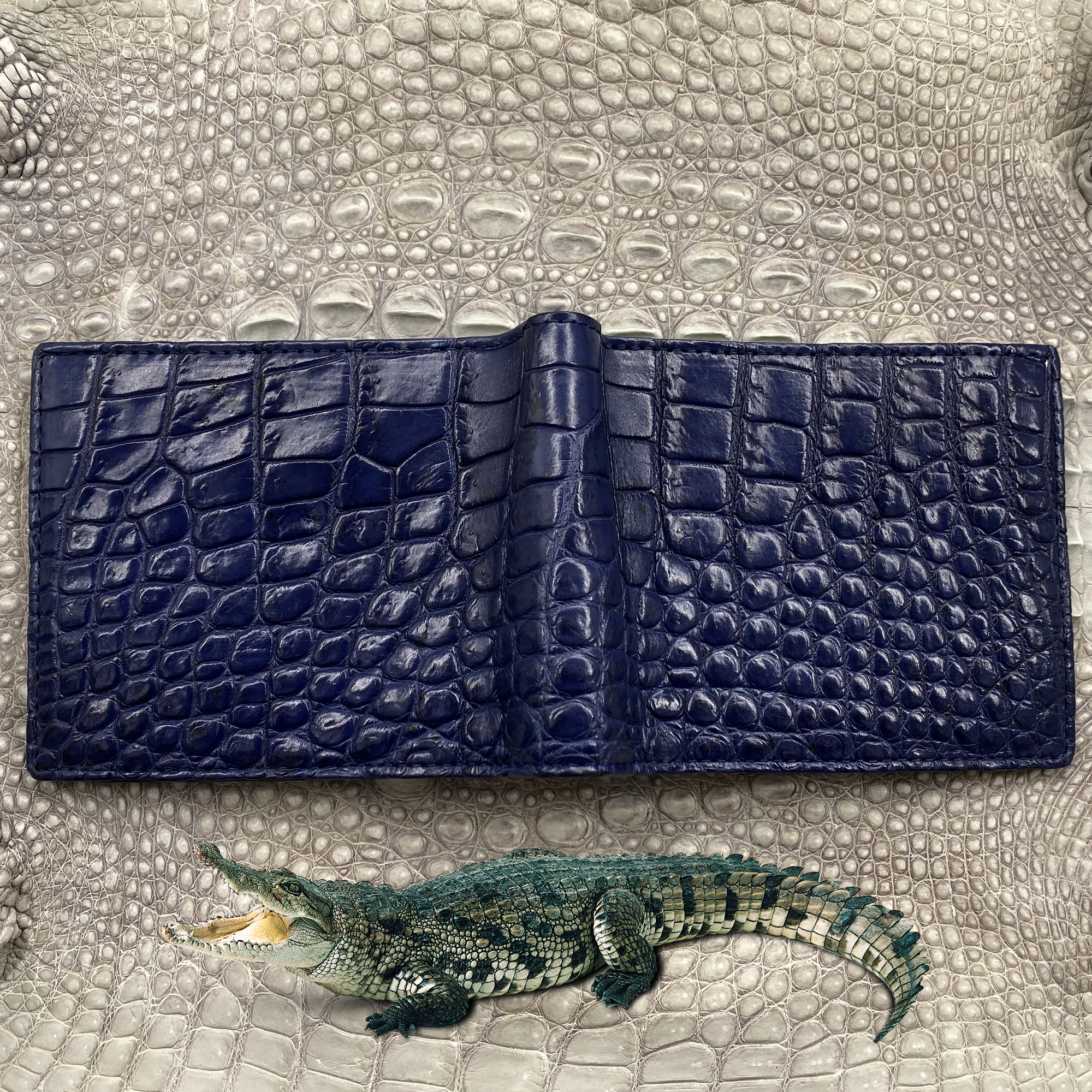 Blue Alligator Skin Bifold Wallet For Men | Handmade Crocodile Leather Wallet RFID Blocking | VL4554