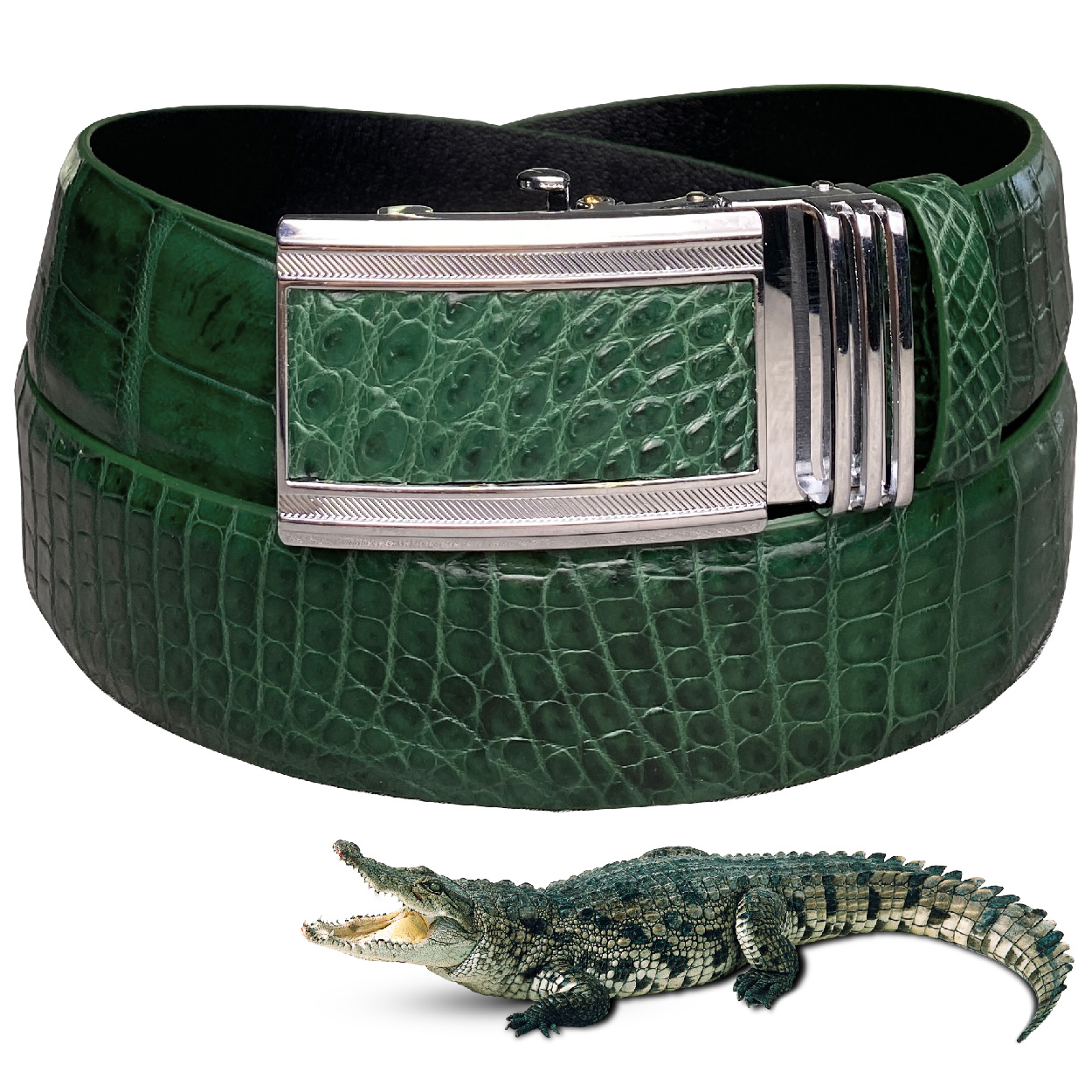 Handcrafted Green Alligator Belt Men's - Crocodile Skin Belly Belt 1.5" - Automactic Buckle - BE-GRE-08 - Vinacreations