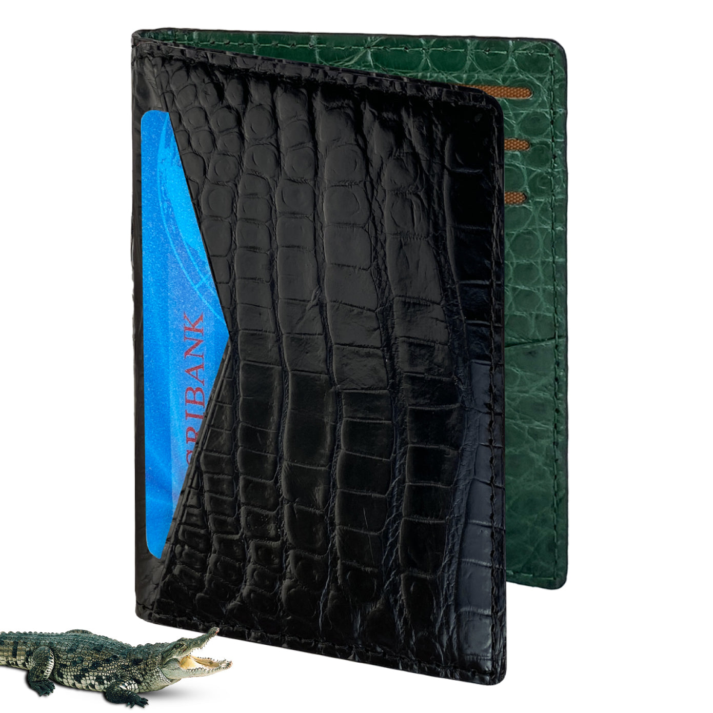 Black & Green Double Side Alligator Leather Credit Card Holder | RFID Blocking | CARD-11