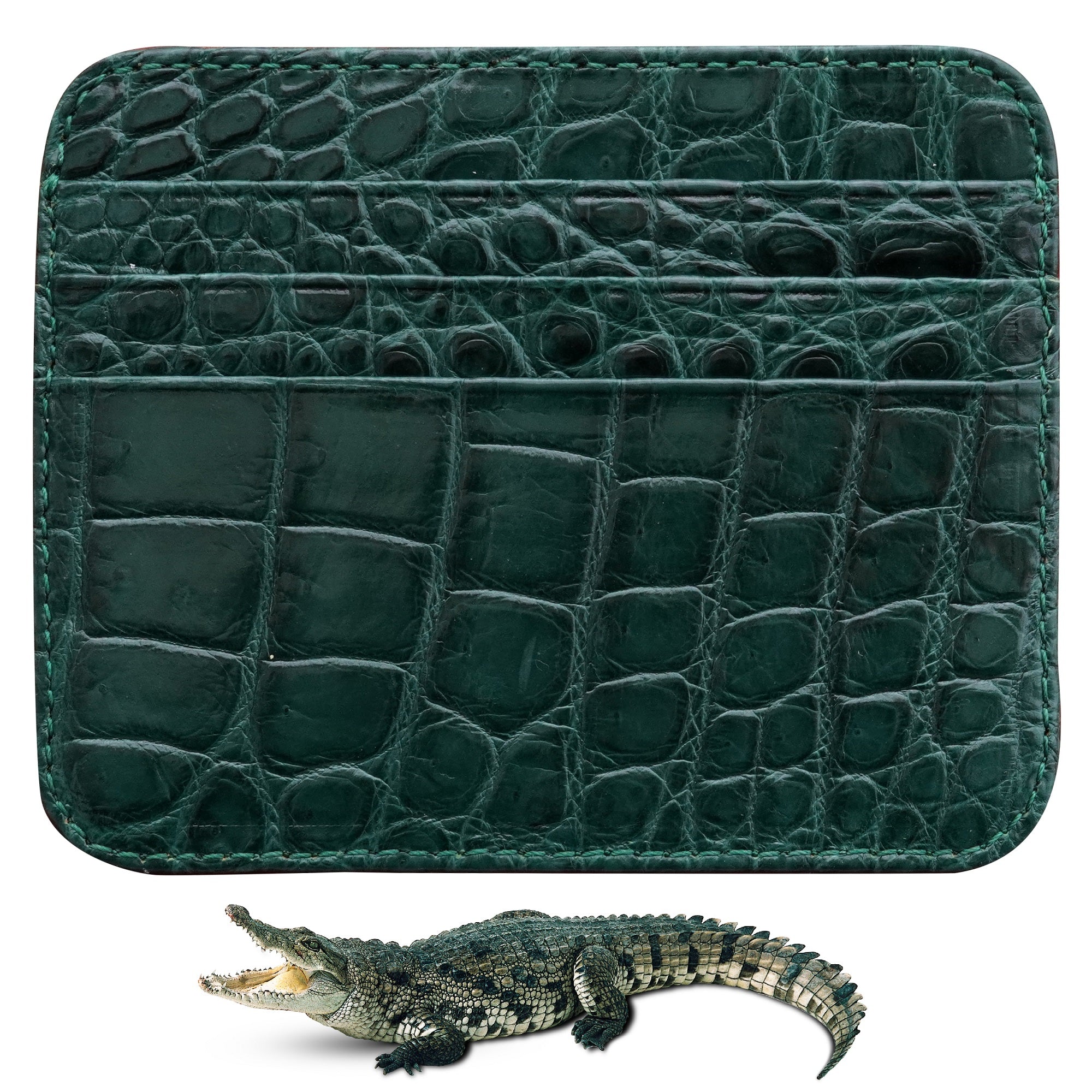 Green Slim Alligator Leather Credit Card Holder