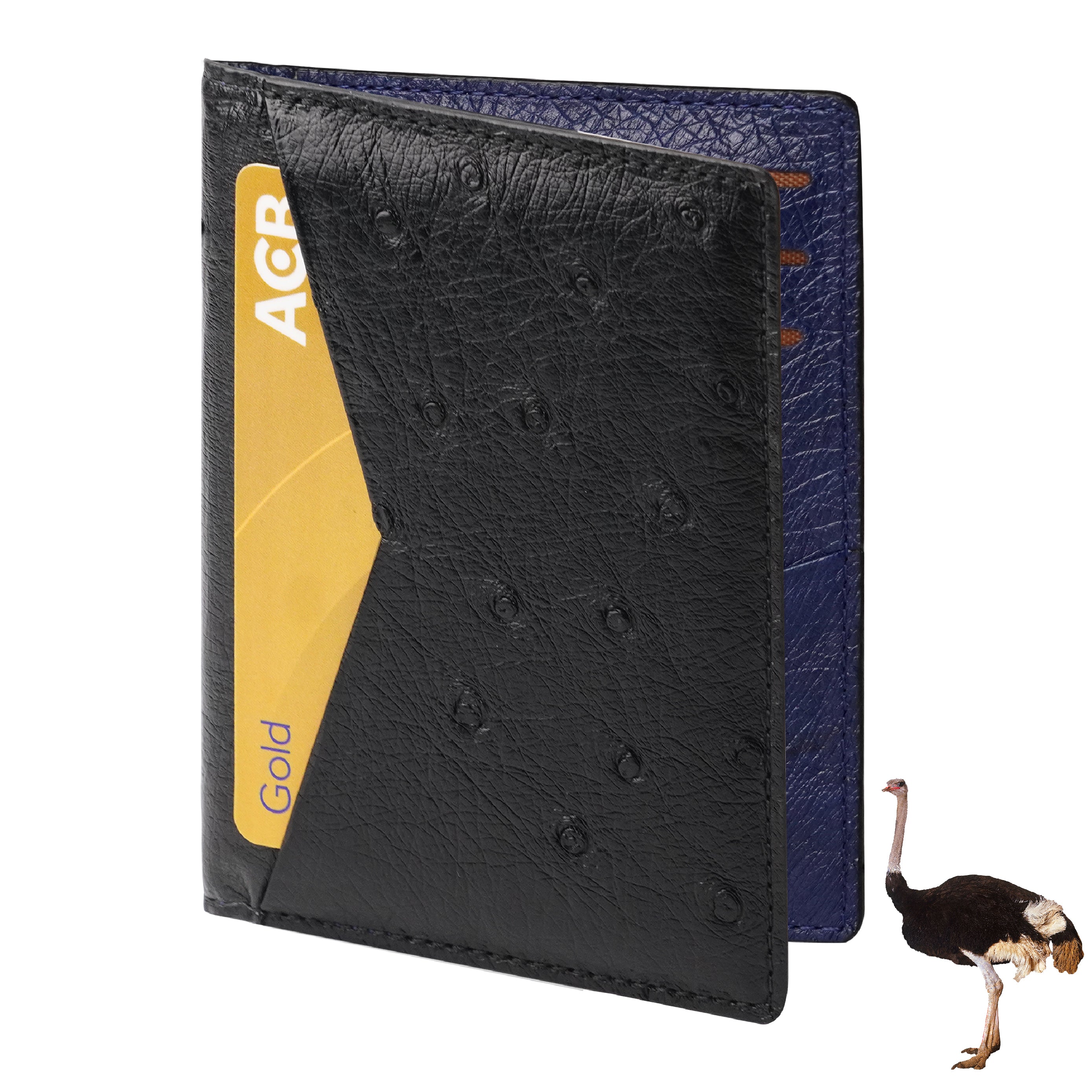 Black Blue Double Side Ostrich Leather Credit Card Holder | RFID Blocking | CARDOS-14