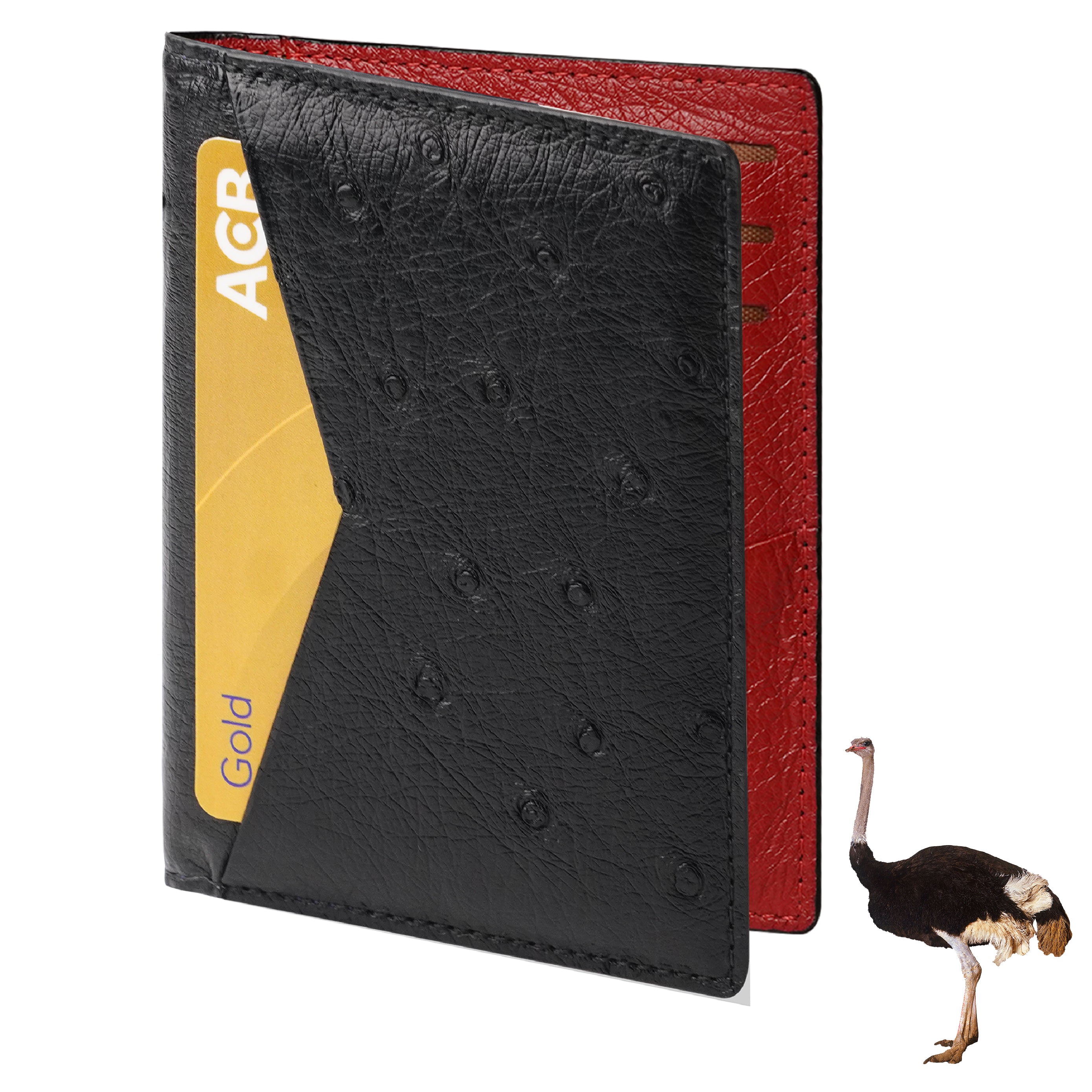 Card Case in Black Ostrich