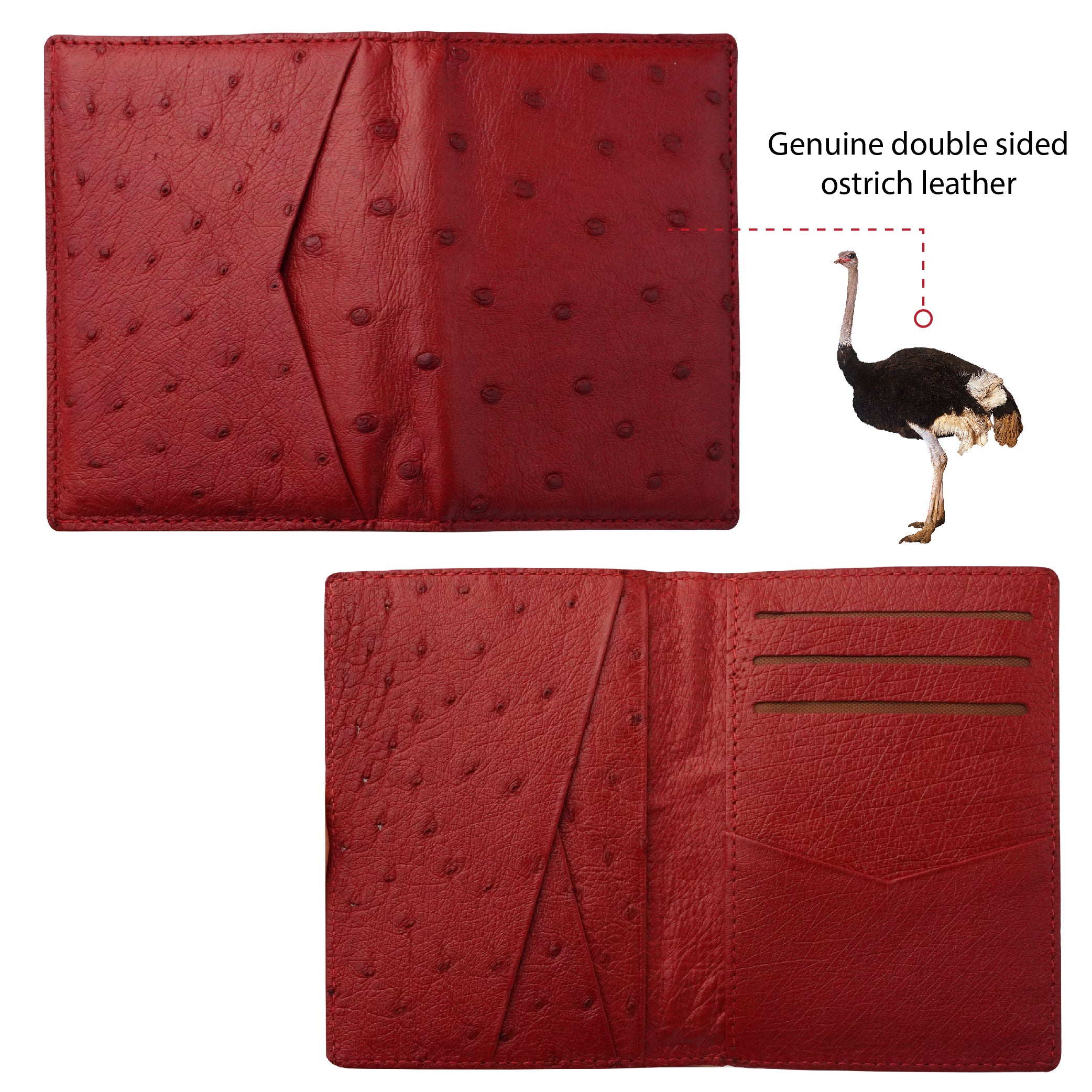 Red Double Side Ostrich Leather Credit Card Holder | RFID Blocking | CARDOS-07