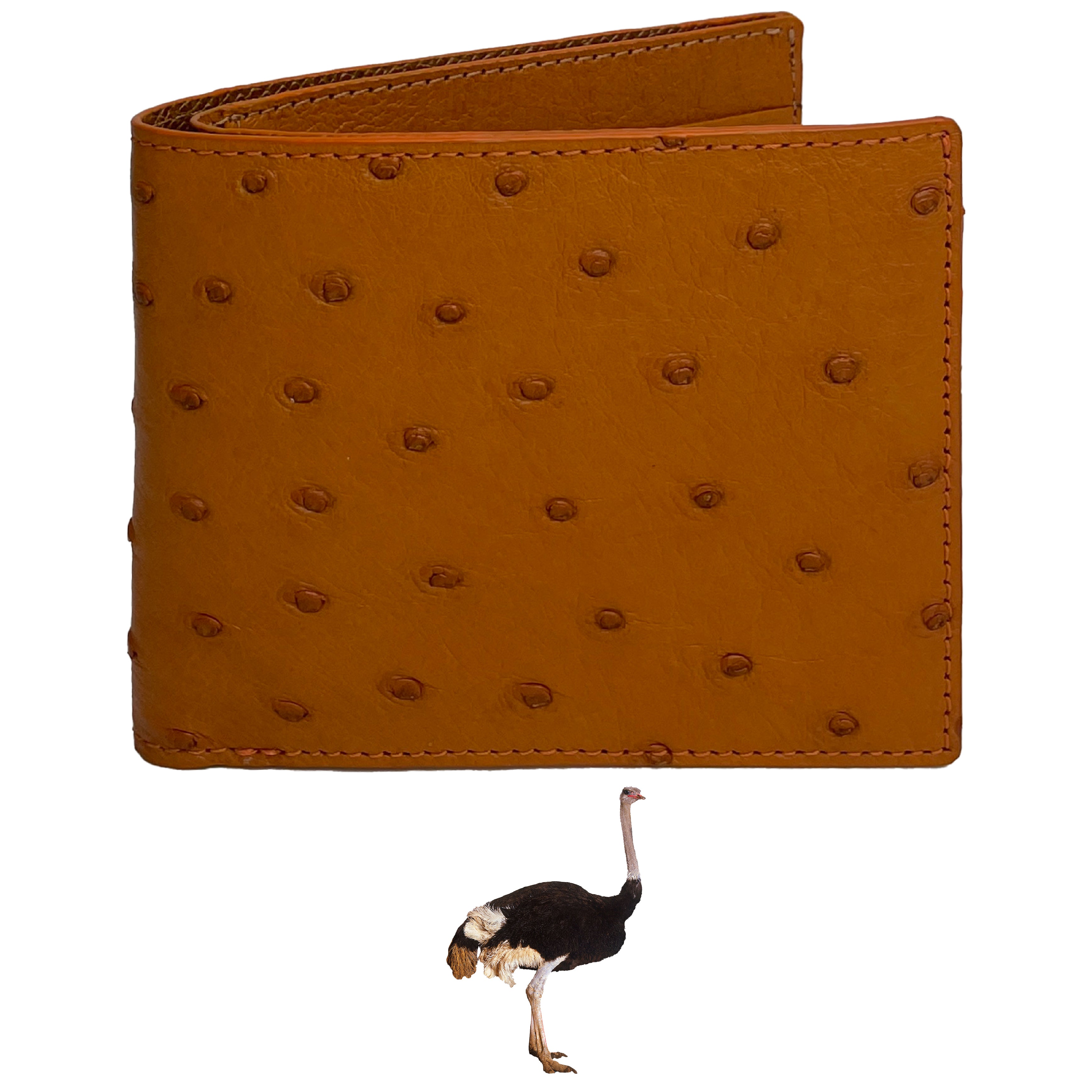 Brown Handmade Double Side Ostrich Leather Bifold Wallet for Men