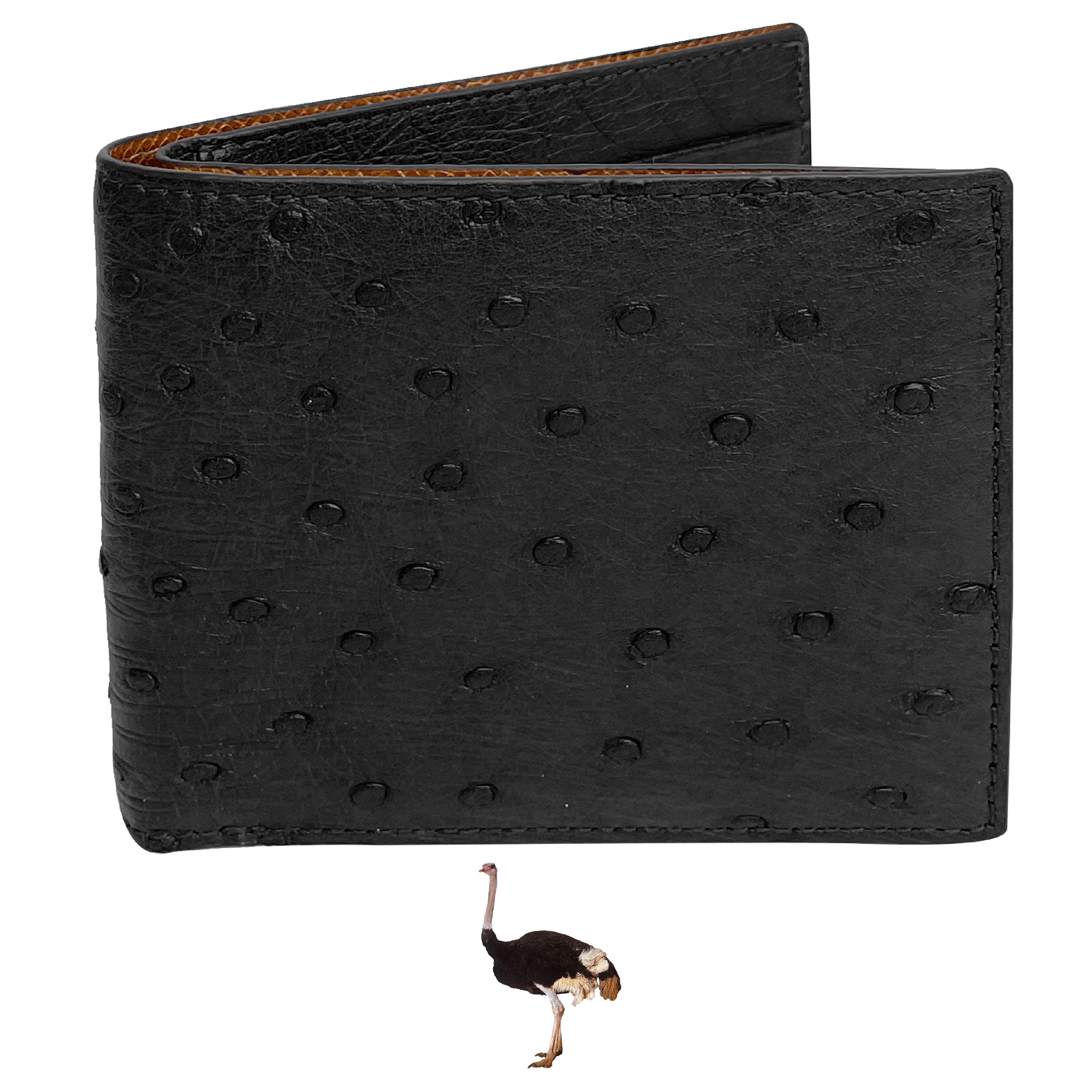 Black Handmade Double Side Ostrich Leather Bifold Wallet for Men | VINAMOS-01