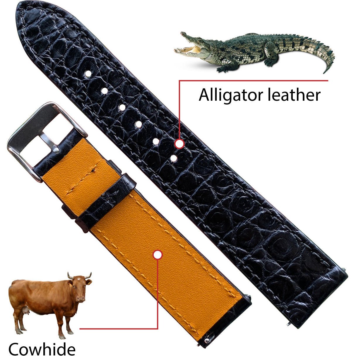 Black Flat Alligator Skin Watch Band For Men | No-padding Gator Wristwatch Strap | DH-21 - Vinacreations