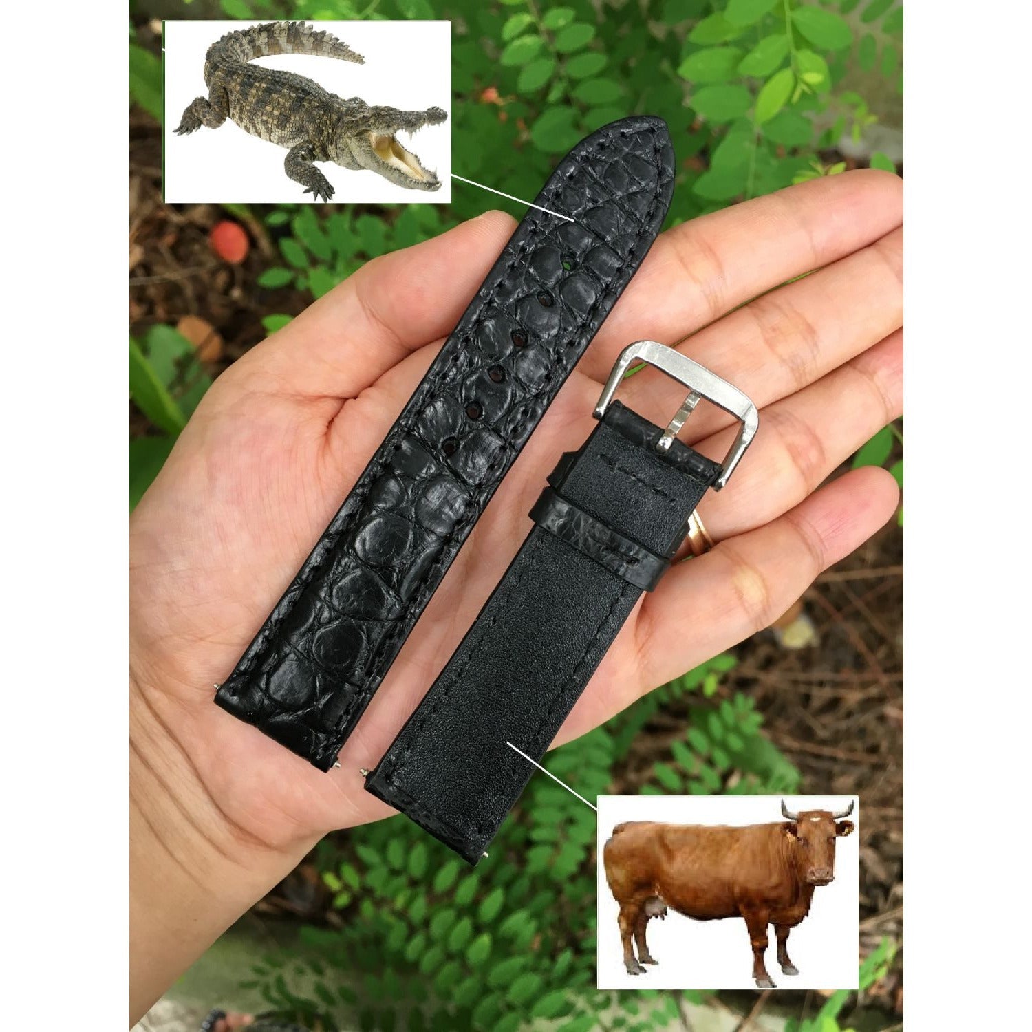 Black Hornback Alligator Leather Watch Band | Crocodile Quick Release Replacement Strap | DH-47 - Vinacreations