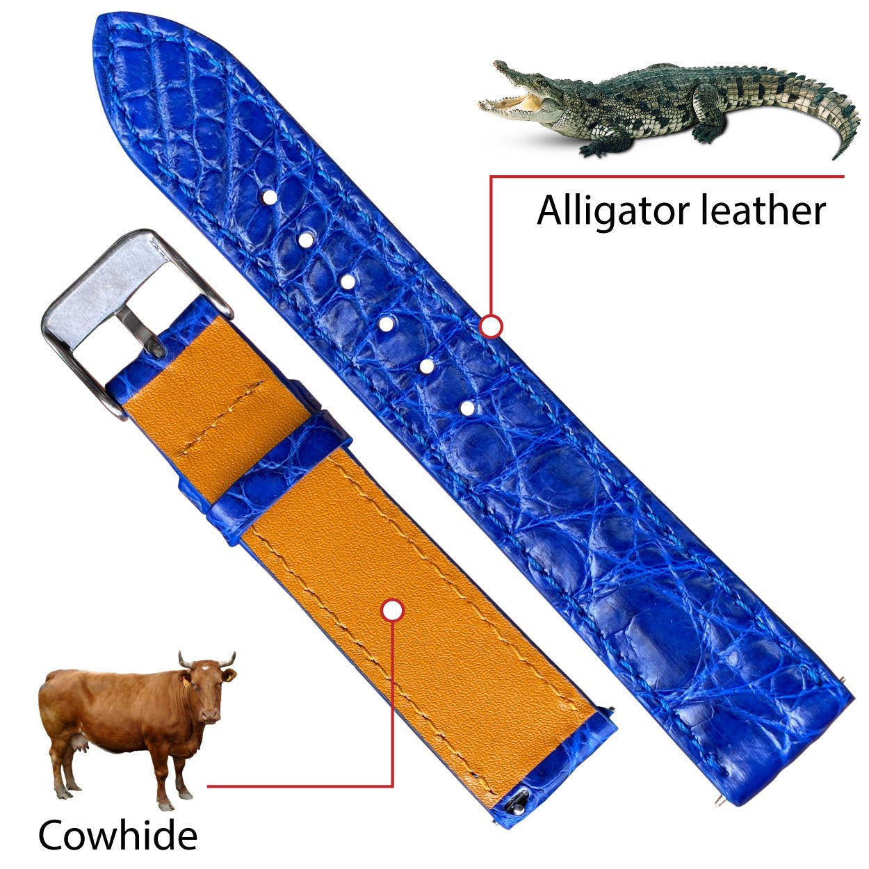 Blue Flat Alligator Leather Watch Band | No-Padding Crocodile Skin Replacement Watch Strap | DH-25 - Vinacreations