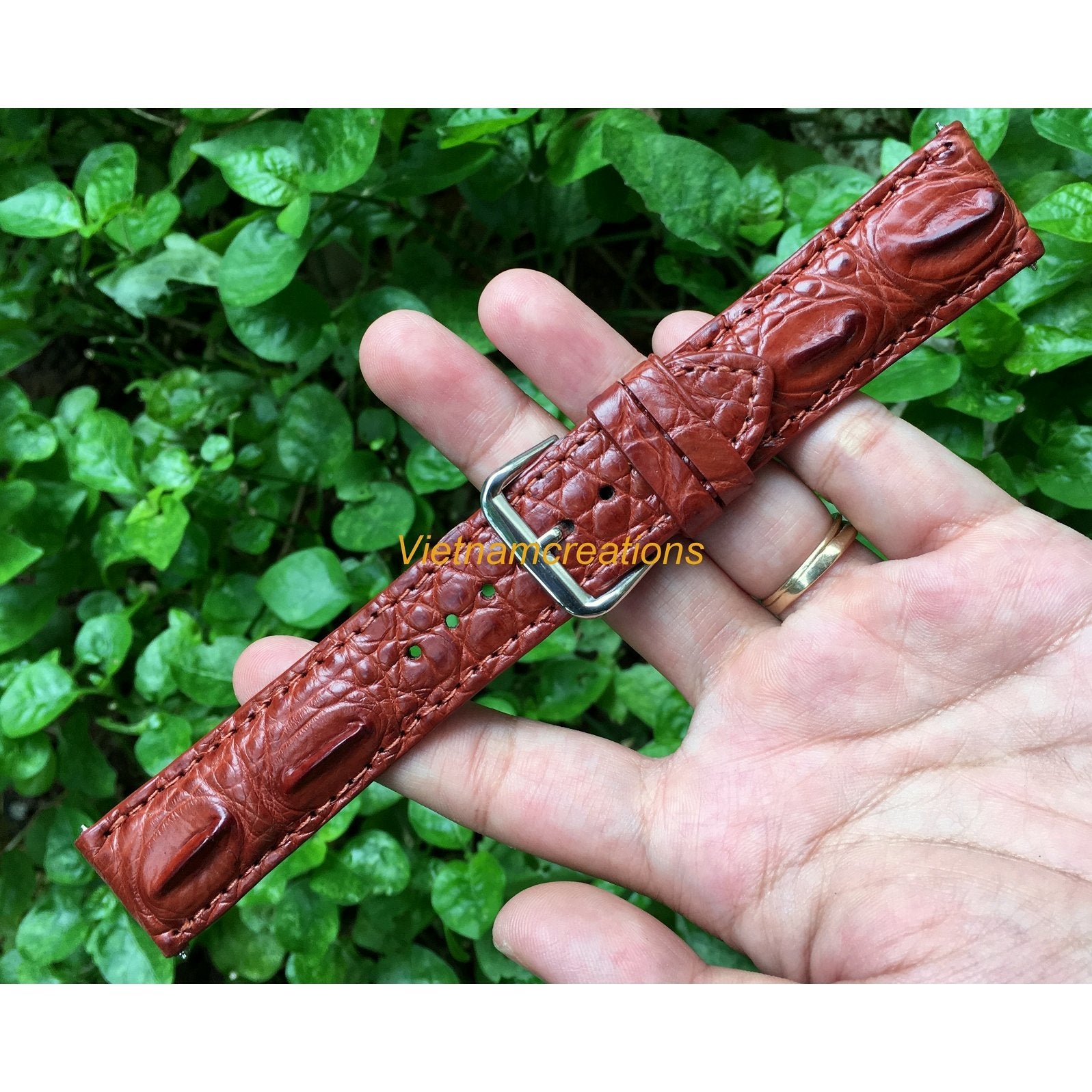 Brown Hornback Alligator Leather Watch Band | Crocodile Quick Release Replacement Wristwatch Strap | DH-38 - Vinacreations
