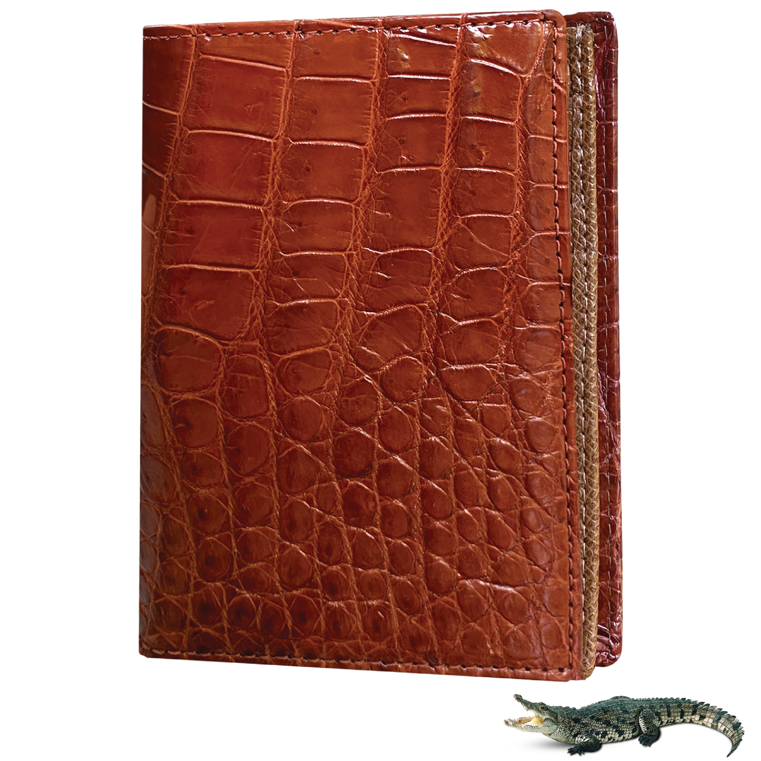 Brown Alligator Leather Vertical Bifold Wallet Large Capacity | DUN33