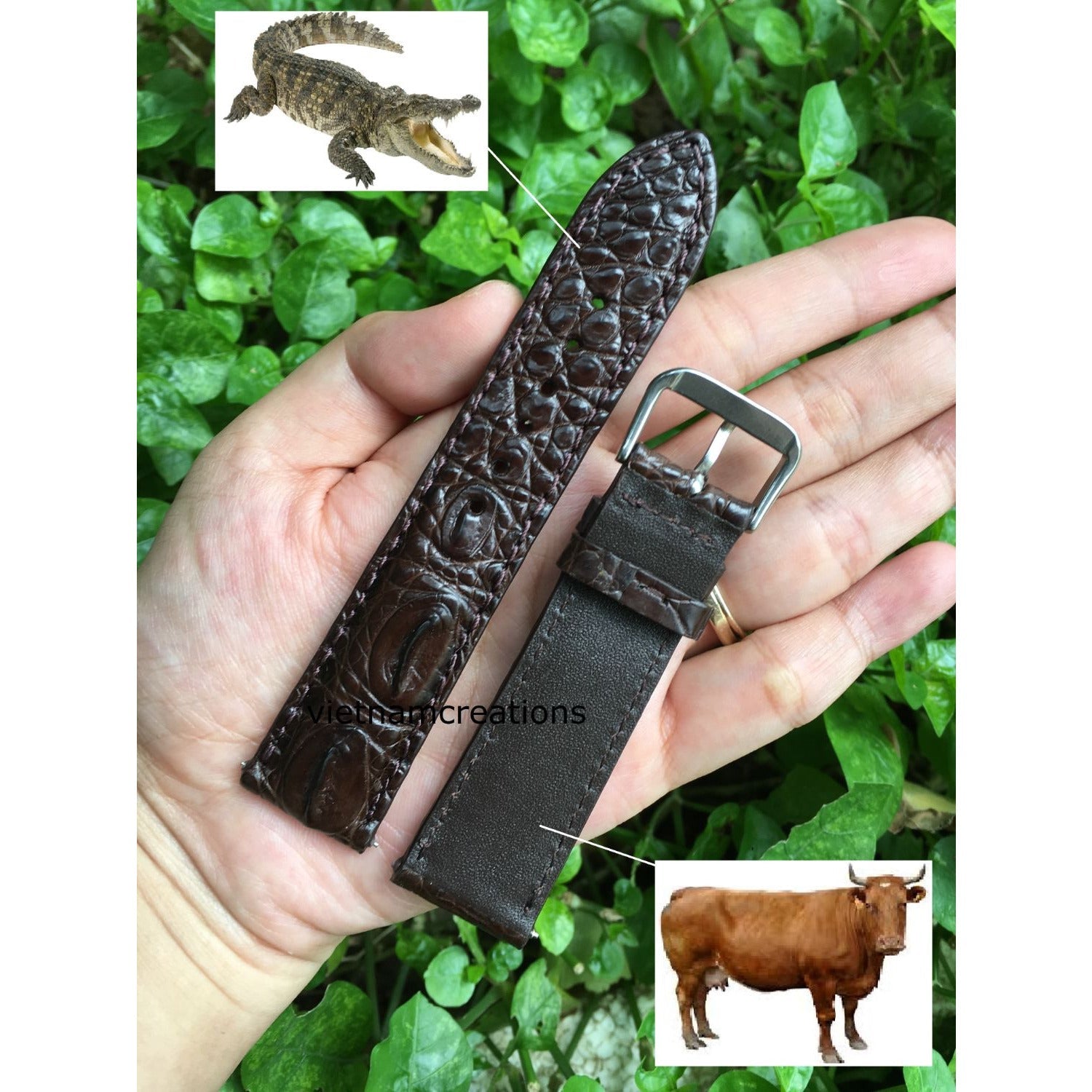 Dark Brown Alligator Leather Watch Band | Crocodile Quick Release Replacement Strap | DH-37 - Vinacreations