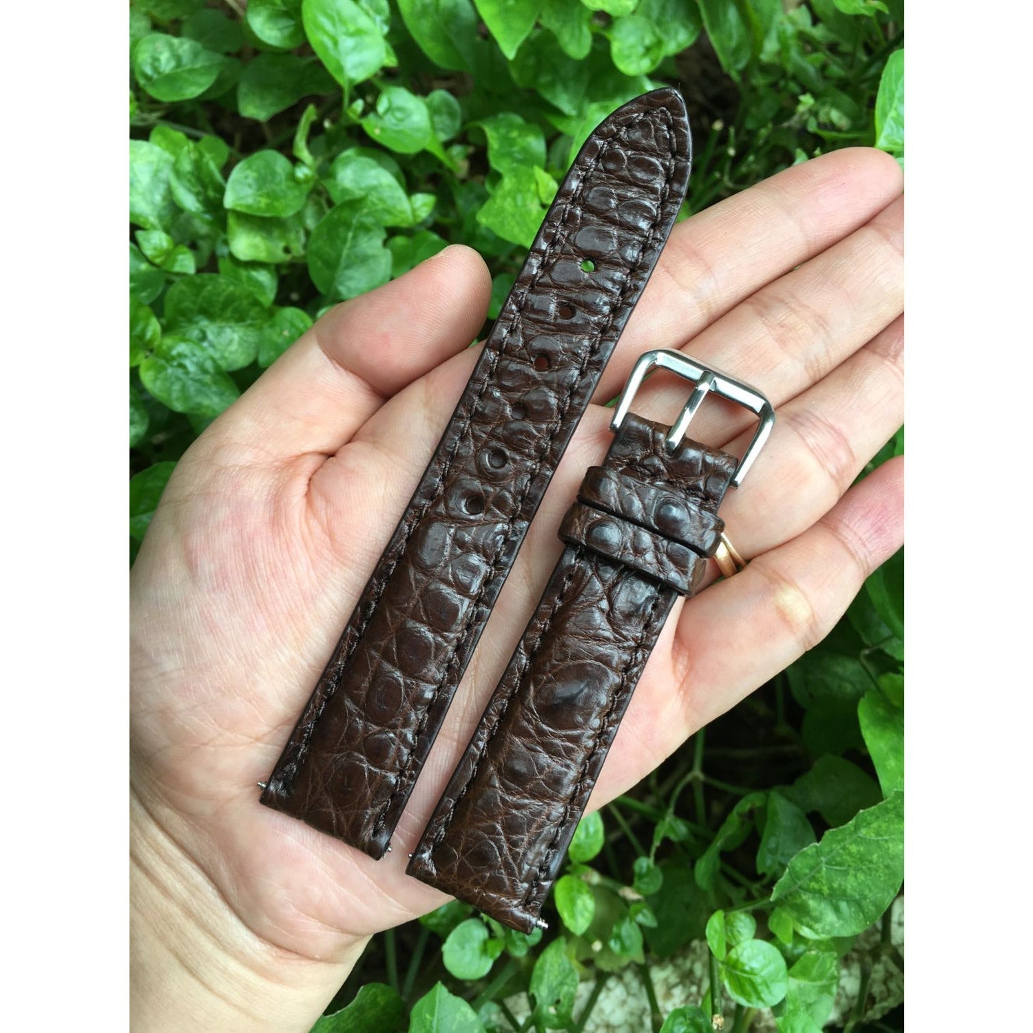 Dark Brown Alligator Leather Watch Band For Men | Premium Crocodile Quick Release Replacement Wristwatch Strap | DH-44 - Vinacreations