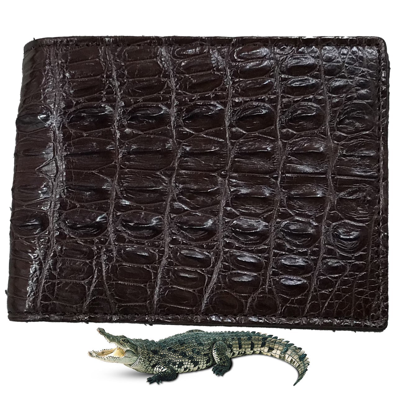 Dark Brown Alligator Skin Bifold Wallet For Men | Handmade Crocodile Leather Wallet RFID Blocking | VL5710 - Vinacreations