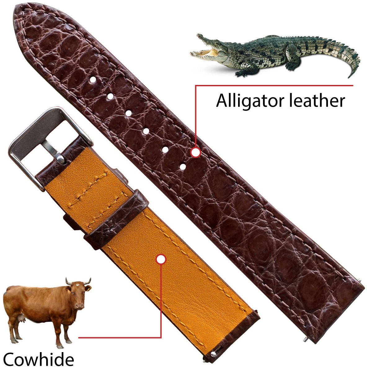 Dark Brown Flat Alligator Leather Watch Strap Men | No-Padding Smooth Gator Wristwatch Strap | DH-23 - Vinacreations