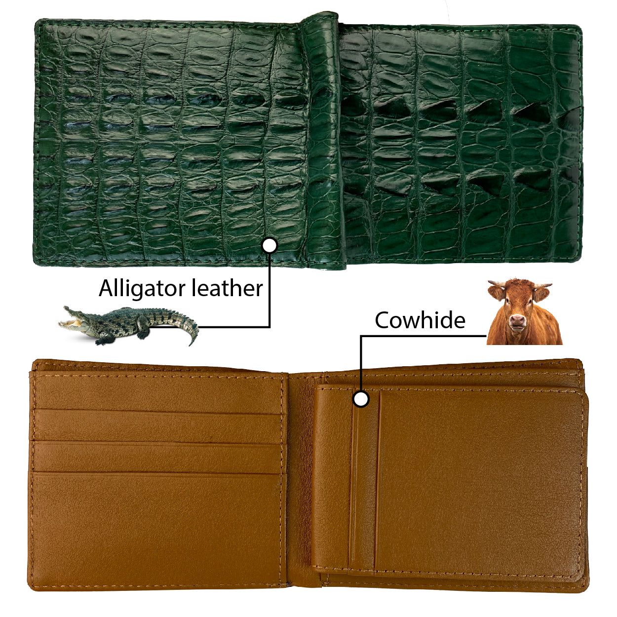 Green Alligator Tail Leather Bifold Wallet For Men