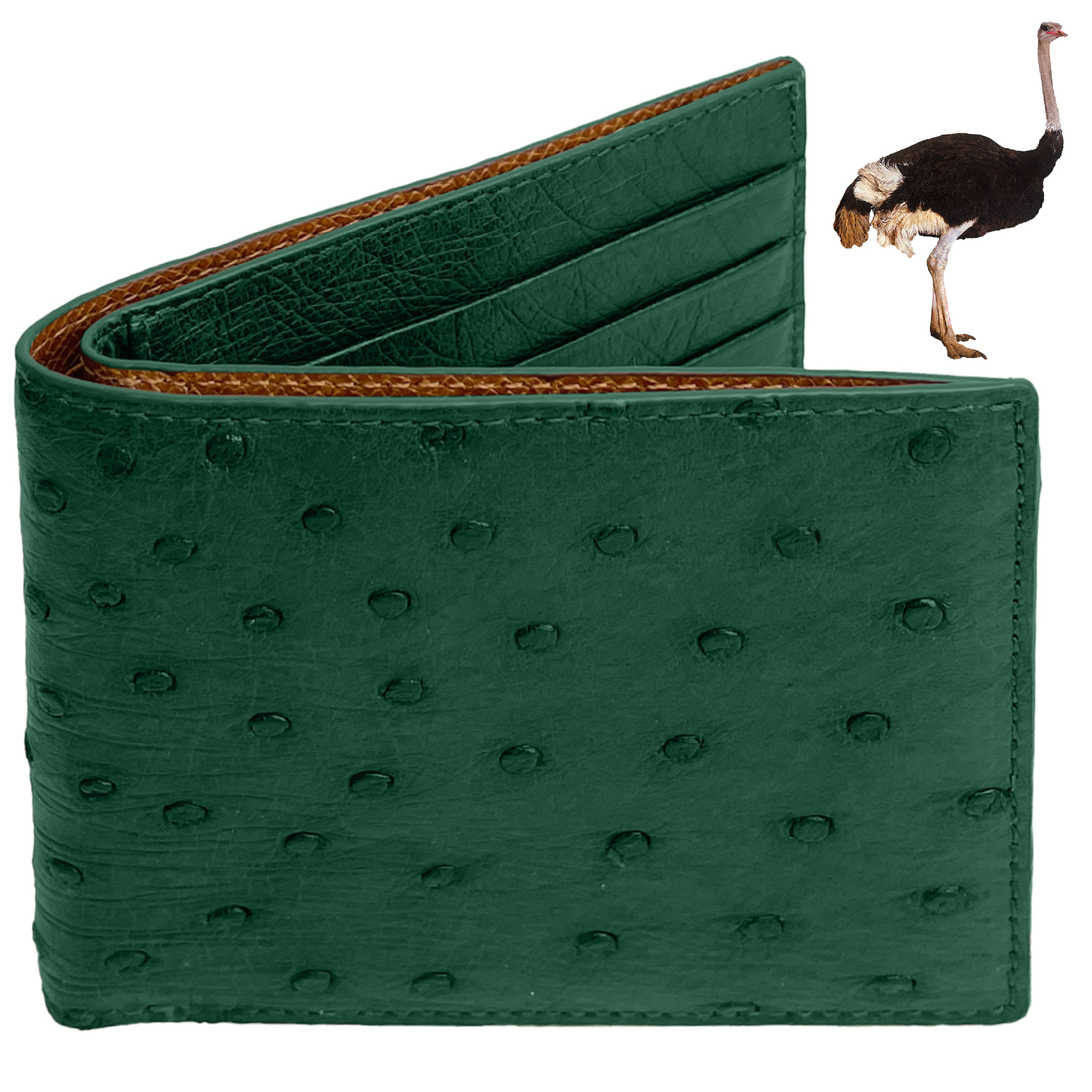 Green Handmade Double Side Ostrich Leather Bifold Wallet for Men