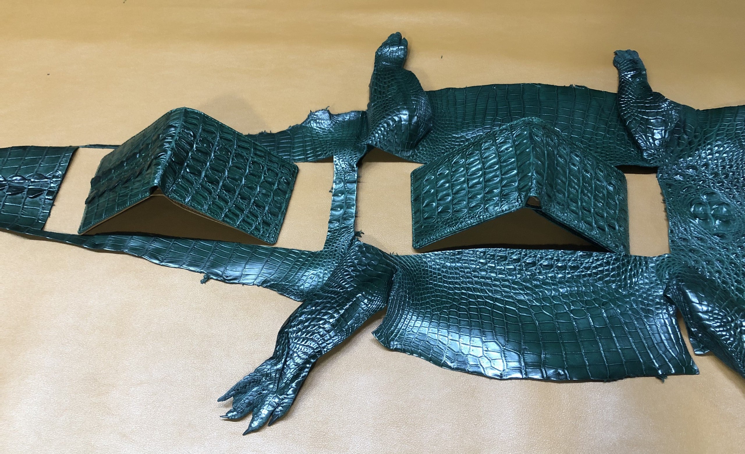 Green Double Side Alligator Hornback Leather Bifold Wallet For Men | Handmade Crocodile Wallet RFID Blocking | VINAM-110