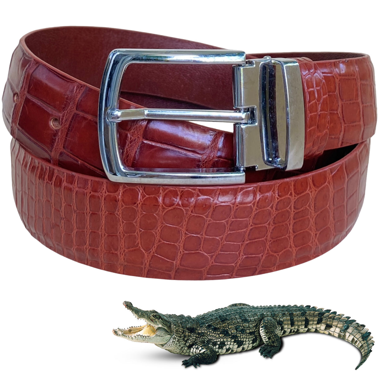 Classic Brown Alligator Belt Men's - Pin Buckle | BE-BRO-06-PIN