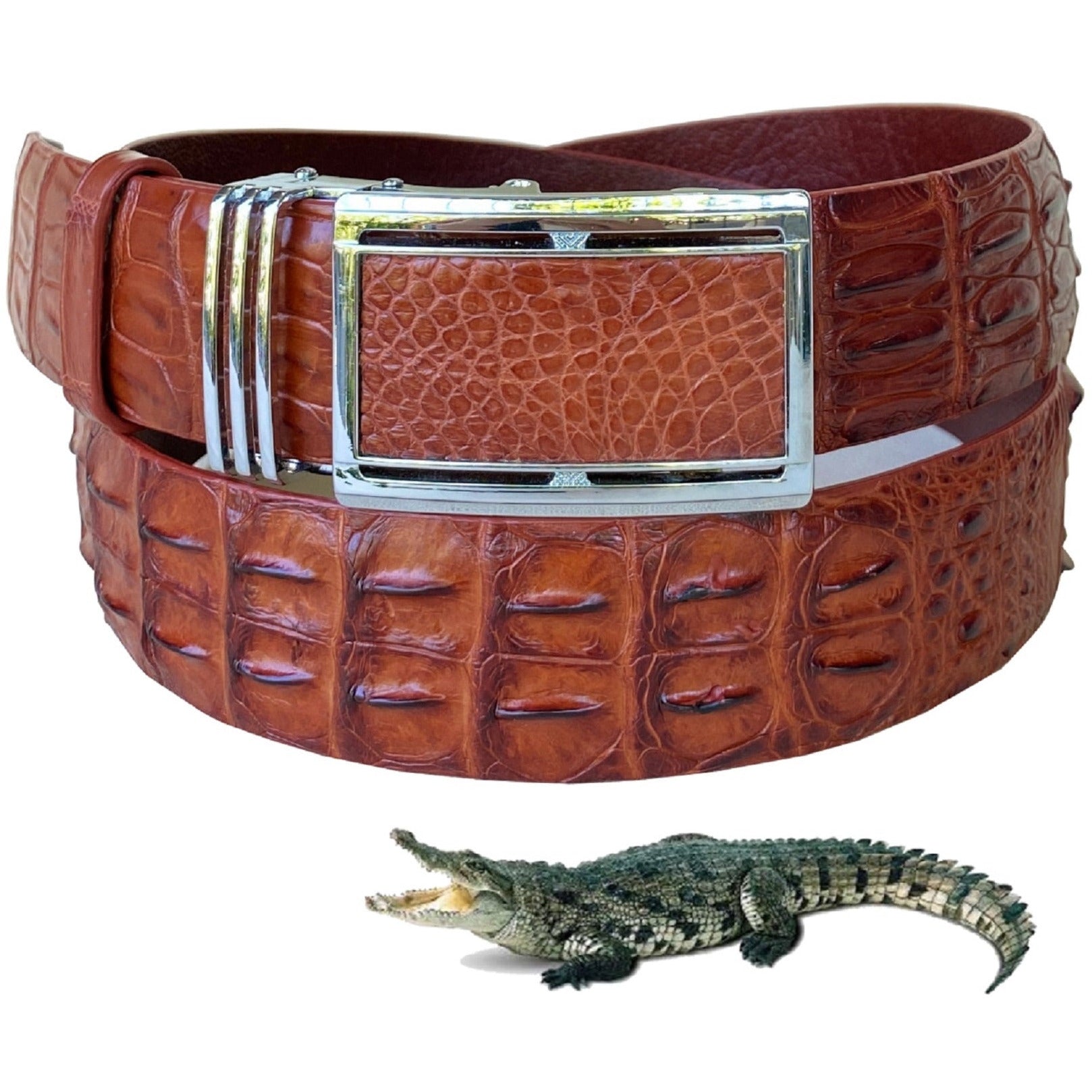 Light Brown Alligator HornBack Leather Belt For Men - Automatic Buckle | BEHO66 - Vinacreations