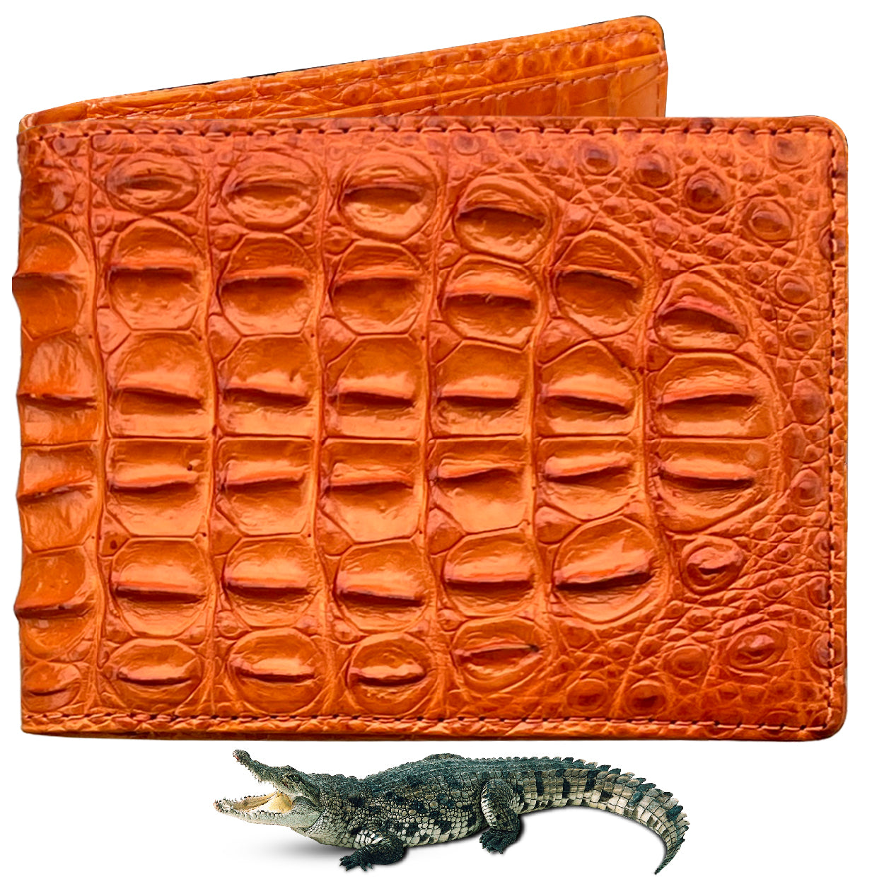 Orange Double Side Alligator Hornback Leather Bifold Wallet For Men RFID Blocking | VINAM-104