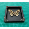 Load image into Gallery viewer, Real Framed Butterfly Black Wooden Shadow Box Dried Brahmin Insect Lover Taxidermy Dead Bug Taxadermy Specimen Display Wall Art Hanging Decoration - Vinacreations