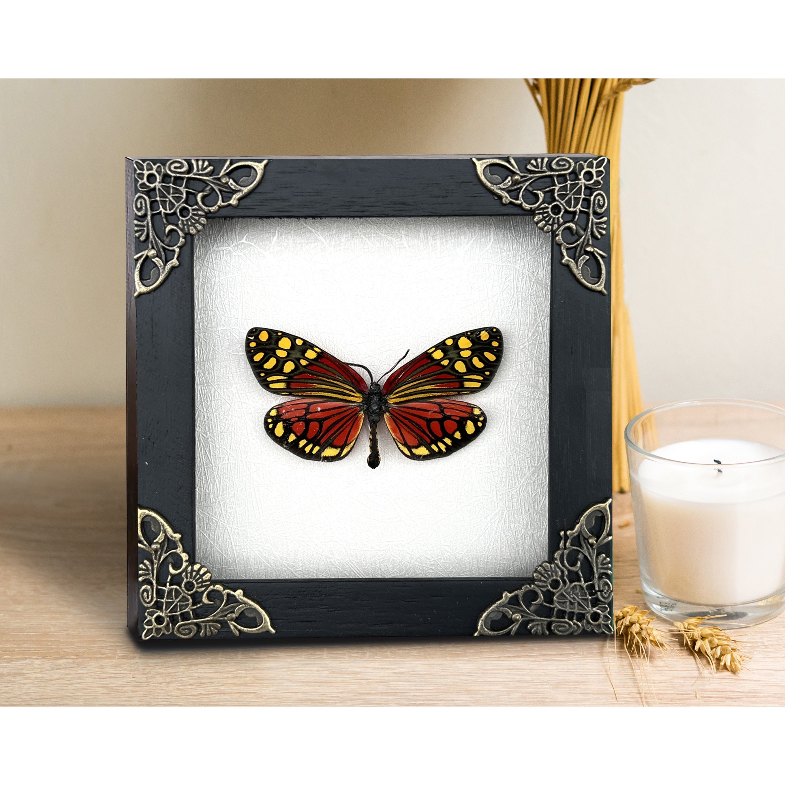Real Framed Butterfly Handmade Shadow Box Vietnam Insect White Wood Frames Taxidermy Taxadermy Wall Art Decoration Artwork - Vinacreations