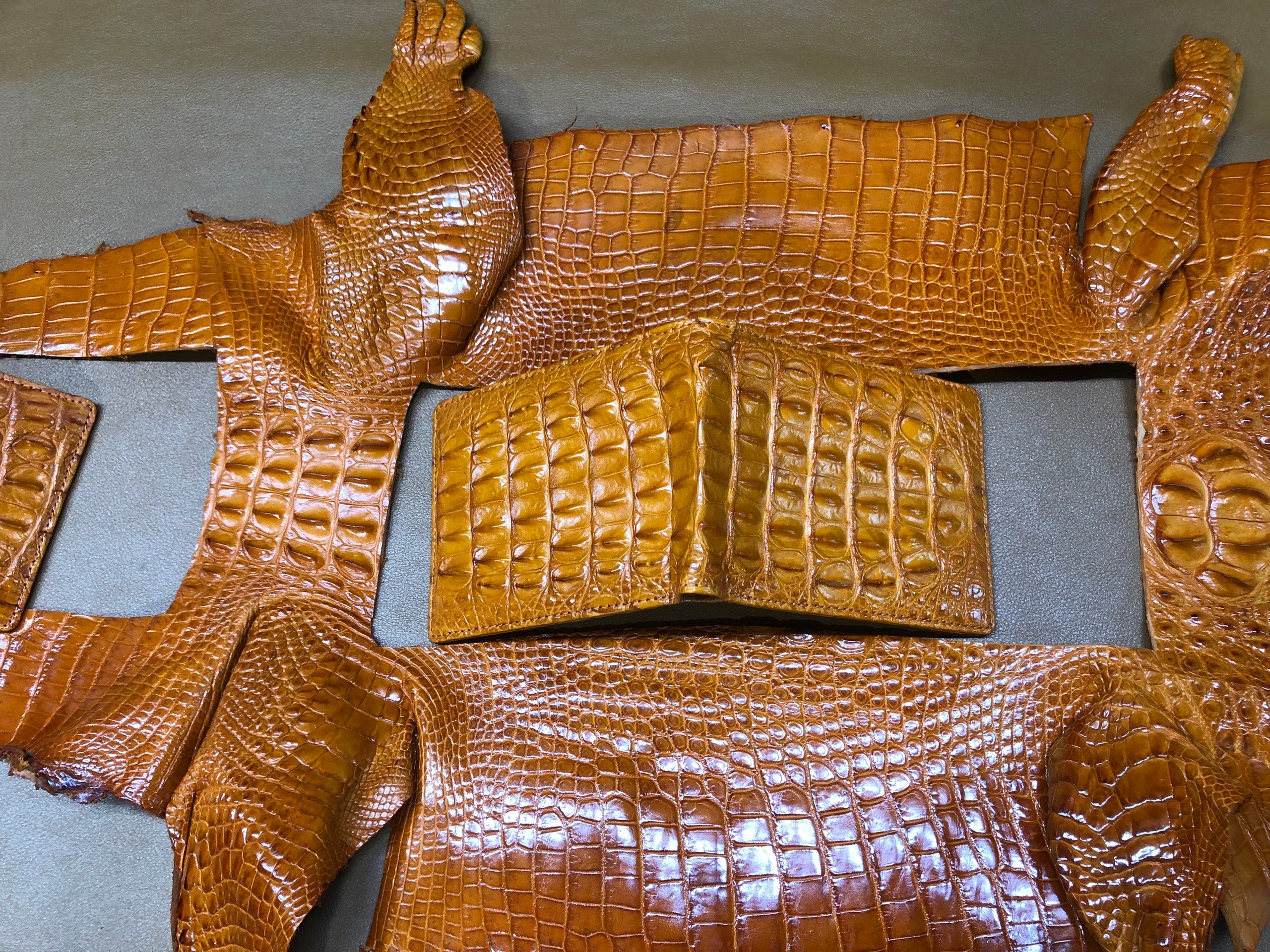 Orange Double Side Alligator Hornback Leather Bifold Wallet For Men RFID Blocking | VINAM-104